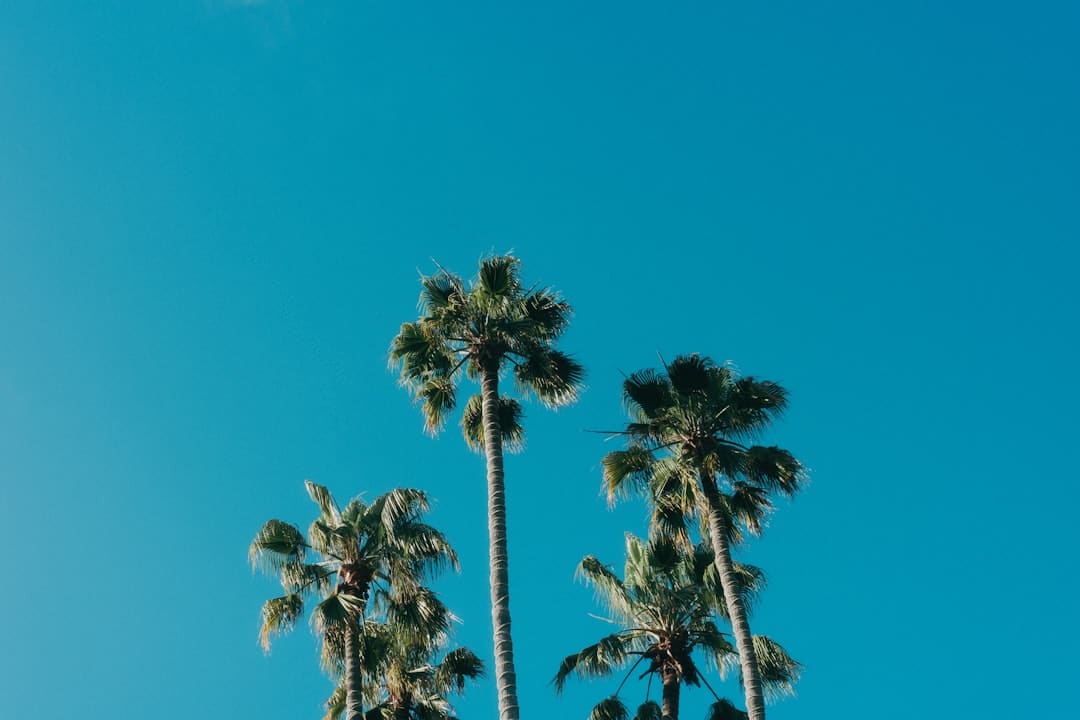 是否对你承诺了太多是什么歌